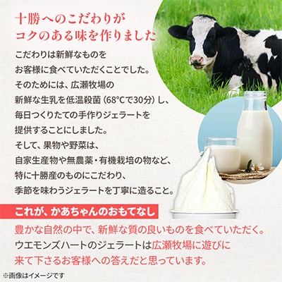 ジェラート「和のおもてなし」3種と牧場のミルク