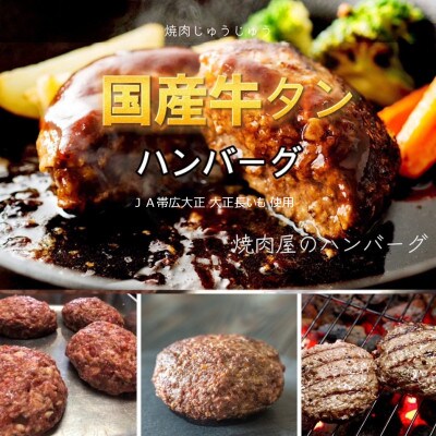 国産牛タンハンバーグ(大正長いも入)180g×5枚入