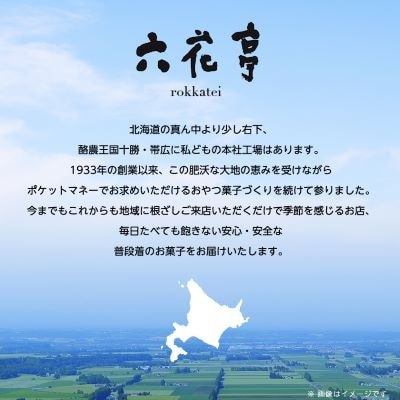 六花亭 ザ・マルセイ 20個入