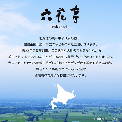【毎月定期便】六花亭・六花撰 19個入全6回