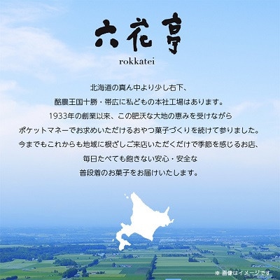【毎月定期便】六花亭セレクション ( 十勝日誌 ザ・マルセイ )全2回