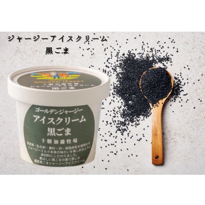ゴールデンジャージーアイスクリーム12個セット(ミルク・アーモンドプラリネ・黒ごま・抹茶 各3個)