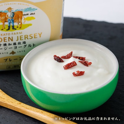 【毎月定期便】ゴールデンジャージーヨーグルト 450g×4個 北海道 十勝 加藤牧場全3回
