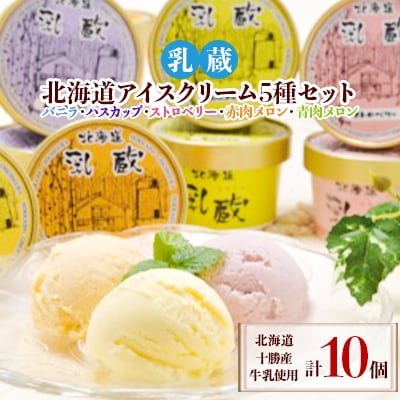 【毎月定期便】「乳蔵」北海道アイスクリーム5種10個〈110130〉全3回