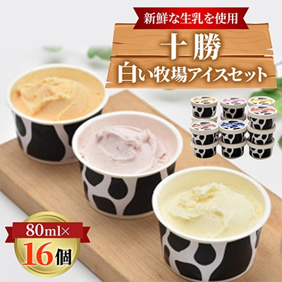 十勝白い牧場 アイス セット 6種16個(バニラ ストロベリー チョコ チーズ メロン ハスカップ)