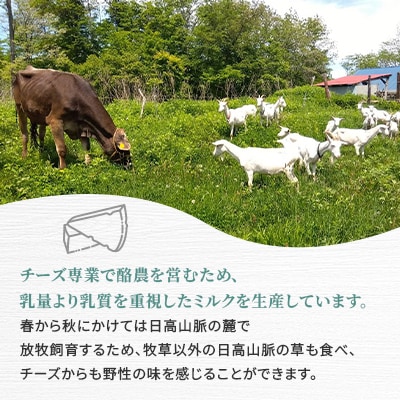 香林農園ナチュラルチーズ　山羊と牛のチーズセット　北海道　日高山脈の小さなチーズ農家
