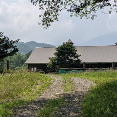 香林農園ナチュラルチーズ　ブラウンスイス牛チーズセット　北海道　日高山脈の小さなチーズ農家