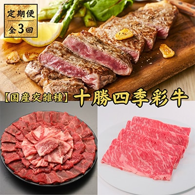 【毎月定期便】十勝四季彩牛　焼肉・すき焼き・ステーキセット 全3回