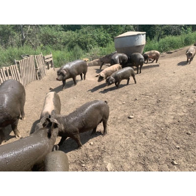 【北海道十勝産】放牧どろぶた　しゃぶしゃぶ部位別食べ比べセット