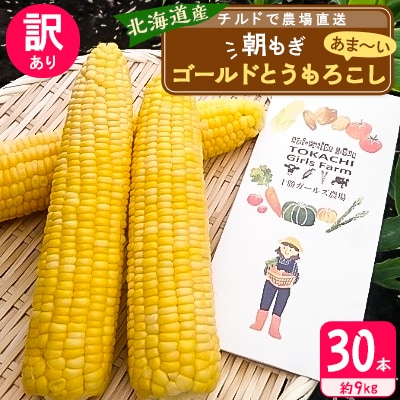 先行受付【十勝ガールズ農場】訳あり 直送 朝もぎつぶつぶ「あま～いゴールドとうもろこし」30本