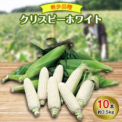 先行受付【十勝ガールズ農場】 希少品種「クリスピーホワイト」10本