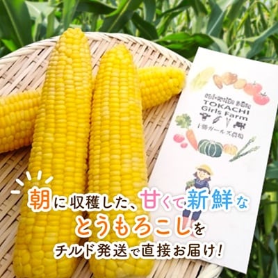 先行受付【十勝ガールズ農場】直送 朝もぎつぶつぶ「あま～いゴールドとうもろこし」10本