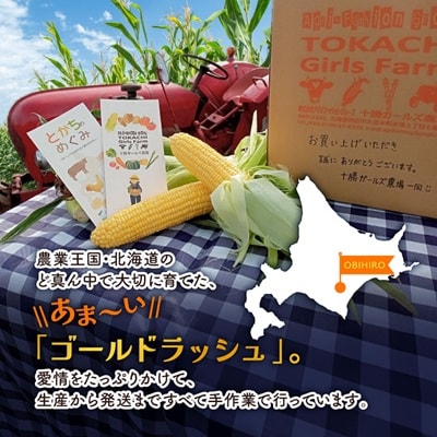 先行受付【十勝ガールズ農場】直送 朝もぎつぶつぶ「あま～いゴールドとうもろこし」10本