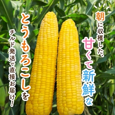 先行受付【十勝ガールズ農場】訳あり 直送 朝もぎつぶつぶ「あま～いゴールドとうもろこし」25本