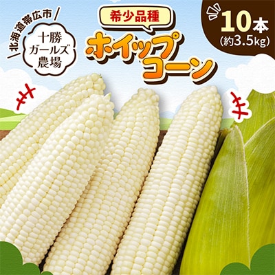 先行受付【十勝ガールズ農場】希少品種「ホイップコーン」10本