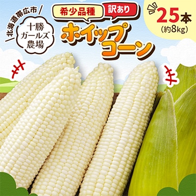 先行受付【十勝ガールズ農場】訳あり 希少品種「ホイップコーン」25本