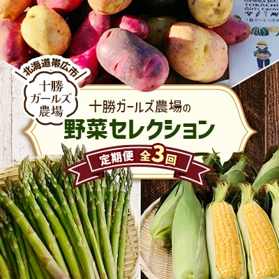 【発送月固定定期便】直送!【北海道の定番便】十勝ガールズ農場の野菜セレクション全3回