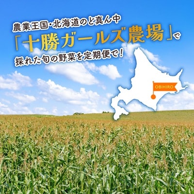 【発送月固定定期便】直送!【北海道の定番便】十勝ガールズ農場の野菜セレクション全3回