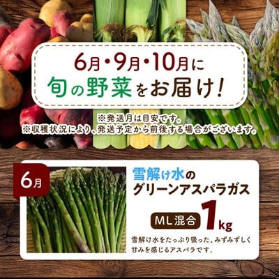 【発送月固定定期便】直送!【北海道の定番便】十勝ガールズ農場の野菜セレクション全3回