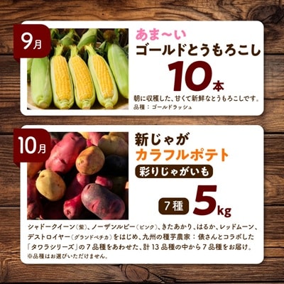 【発送月固定定期便】直送!【北海道の定番便】十勝ガールズ農場の野菜セレクション全3回