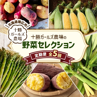 【発送月固定定期便】直送!【北海道を満喫便】十勝ガールズ農場の野菜セレクション全5回