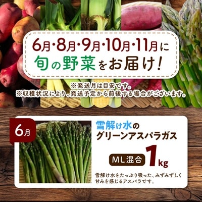 【発送月固定定期便】直送!【北海道を満喫便】十勝ガールズ農場の野菜セレクション全5回