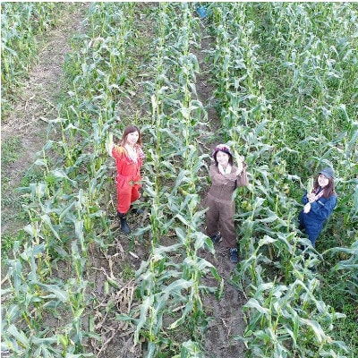 【発送月固定定期便】直送!【北海道を満喫便】十勝ガールズ農場の野菜セレクション全5回