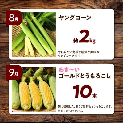 【発送月固定定期便】直送!【北海道を満喫便】十勝ガールズ農場の野菜セレクション全5回