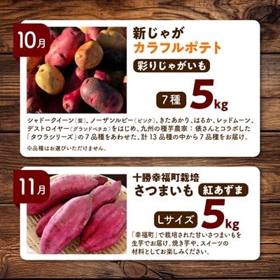 【発送月固定定期便】直送!【北海道を満喫便】十勝ガールズ農場の野菜セレクション全5回