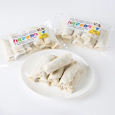 十勝餃子手房にしかわのハルマキカクメイ五目セット