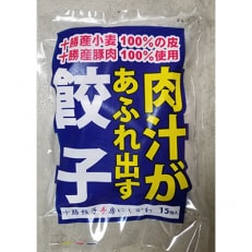 【2ヵ月毎定期便】肉汁があふれ出す餃子 全3回