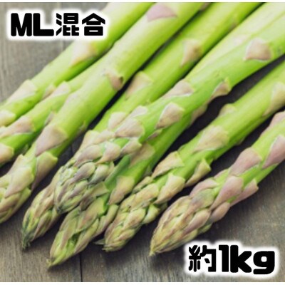 【先行受付】グリーンアスパラM・Lサイズ混合約1kg(500g×2袋)