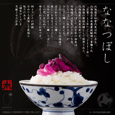 2023年1月発送開始『定期便』北海道産 ななつぼし 精米10kg(5kg×2袋)全9回
