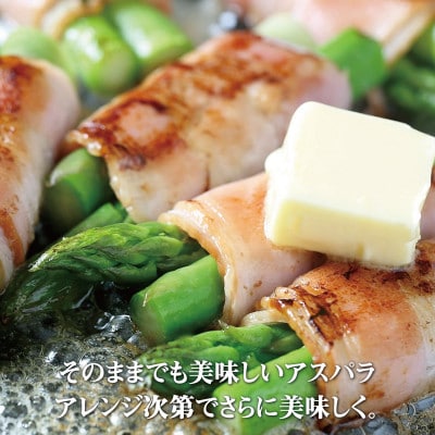 【2023年5～6月発送・先行受付】 北海道 十勝 帯広産 グリーンアスパラ1kg
