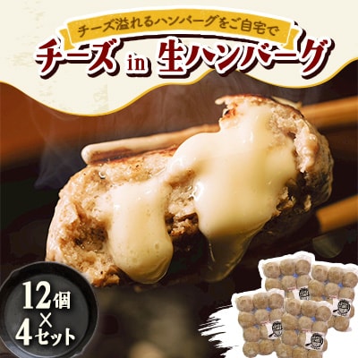 チーズ in 生ハンバーグ 12個×4セット グルテンフリー