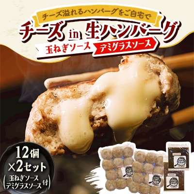 チーズ in 生ハンバーグ 12個×2(玉ねぎソース150g、デミグラスソース250g 各1個)
