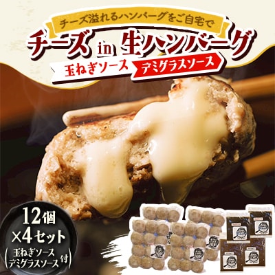 チーズ in 生ハンバーグ 12個×4(玉ねぎソース150g、デミグラスソース250g 各2個)