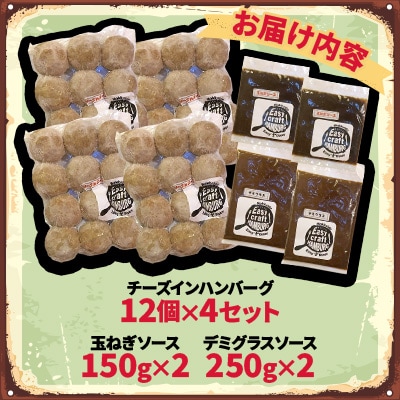 チーズ in 生ハンバーグ 12個×4(玉ねぎソース150g、デミグラスソース250g 各2個)