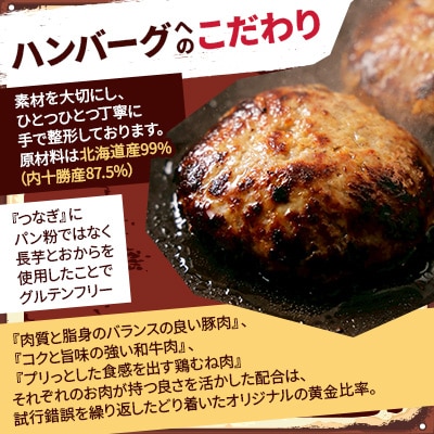 チーズ in 生ハンバーグ 12個×4(玉ねぎソース150g、デミグラスソース250g 各2個)