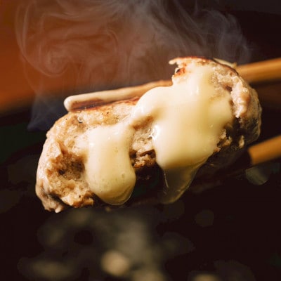 チーズ in 生ハンバーグ 12個×2セット+デミグラスソース250g×2