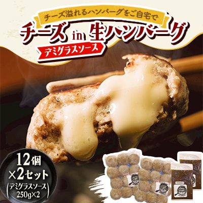 チーズ in 生ハンバーグ 12個×2セット+デミグラスソース250g×2