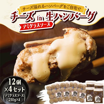チーズ in 生ハンバーグ 12個×4セット+デミグラスソース250g×4