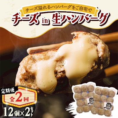 【毎月定期便】チーズ in ハンバーグ　生(12個入) 2セット全2回