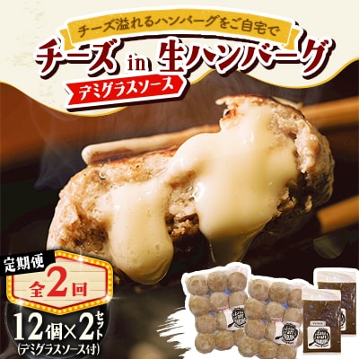 【毎月定期便】チーズ in ハンバーグ(生)12個入(デミグラスソース250g) 2セット全2回