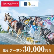 【北海道帯広市】一休.com・Yahoo!トラベル割引クーポン(30,000円分)