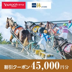 【北海道帯広市】一休.com・Yahoo!トラベル割引クーポン(45,000円分) | ふるさと納税のお礼品