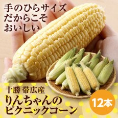 【先行受付】十勝帯広産 りんちゃんの ピクニックコーン 12本入