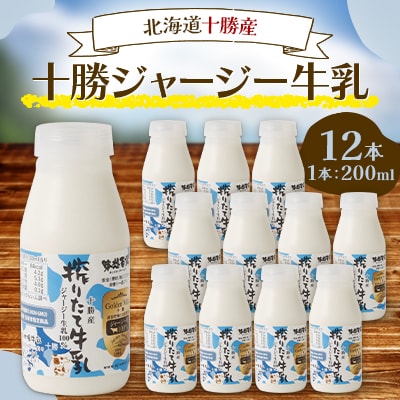 十勝ジャージー牛乳12本Sセット