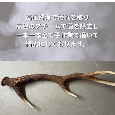 鹿の角 四つ割り 4本 犬のおもちゃ デンタルケア 小・中型犬用