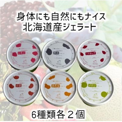 北海道産ヴィーガンジェラート6種類×2個